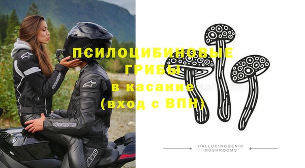 не бодяженный Аркадак