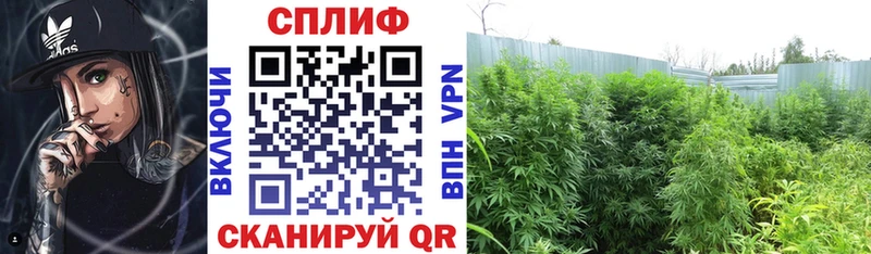 Бошки Шишки Ganja OMG ONION Спасск